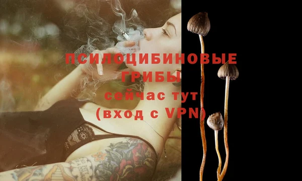 прущая мука Зеленокумск