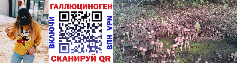 Галлюциногенные грибы Psilocybe Карабаново